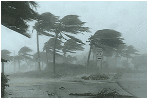 hurricane in Florida