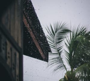 Photo of rain on window with palm tree and dark storm clouds outside.
